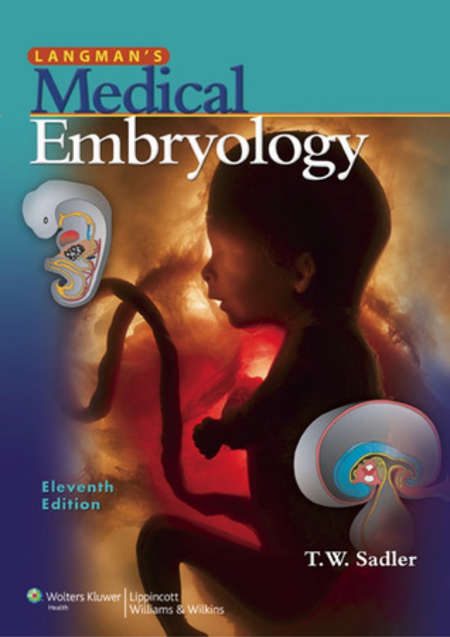 langman embriyoloji pdf indir